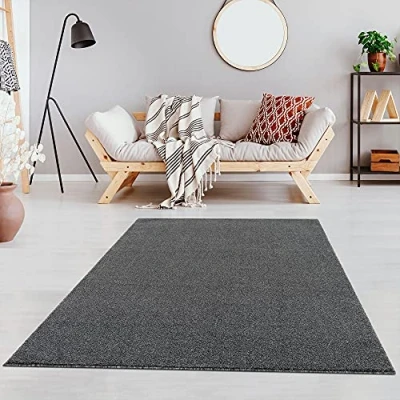 Abbildung von Fashion4Home Teppich Wohnzimmer Einfarbig Teppich, Uni fürs Kinderzimmer, Schlafzimmer, Arbeitszimmer, Büro, Flur und Küche Kurzflor Grau, Größe: 200x290 cm