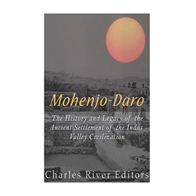 Abbildung von Mohenjo daro: the History and Legacy of Ancient Settlement Indus Valley Civilization