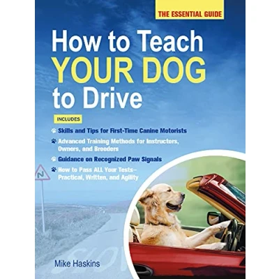 Abbildung von How to Teach your Dog Drive: The Essential Guide