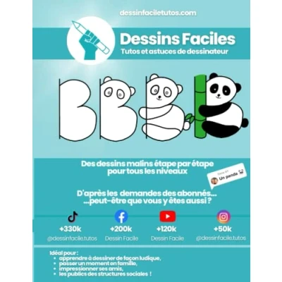 Abbildung von Dessin Facile: Tutos et astuces de dessinateurs ! (Secrets !)