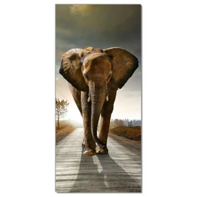 Abbildung von Wallario Selbstklebende Türtapete Elefant bei Sonnenaufgang in Afrika Türposter 93 x 205 cm Abwischbar, rückstandsfrei zu entfernen