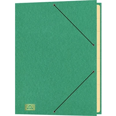 Abbildung von RNKVERLAG 4616 5 Konferenz und Ordnungsmappe mit Gummizug, Maße (BxH) 245 x 340 mm, bis DIN A4, 9 Fächer, grün, 1 Stück