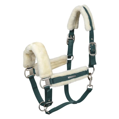 Abbildung von Waldhausen Halfter Soft Tannengrün Warmblut