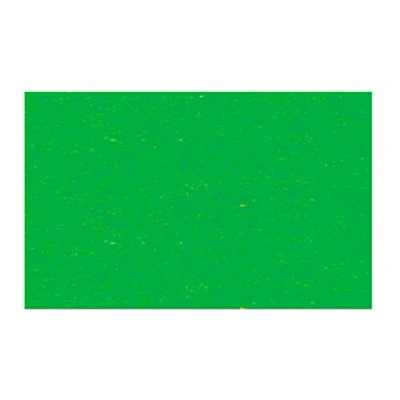 Abbildung von Ludwig Bähr Tonpapier 130g/qm A4 VE=100 Blatt grasgrün