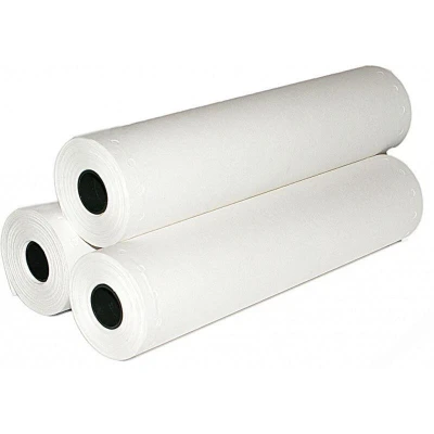 Abbildung von Canon Papier Rolle unbeschichtet (91,4 cm x 50 m) 80 g/m² 3 Rollen (1569B008)