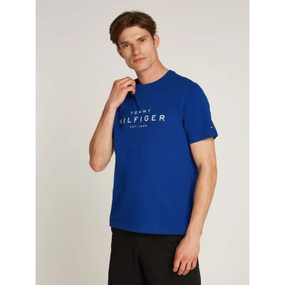 Abbildung von Tommy Hilfiger BIG TEE Tshirt print, Herren, Größe: Large, Wedge blue