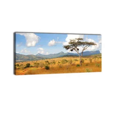 Abbildung von wandmotiv24 Leinwandbild Panorama Nr. 333 Savanne Kenia 100x40cm, Keilrahmenbild, Bild auf Leinwand, Afrika Grasland Sonne