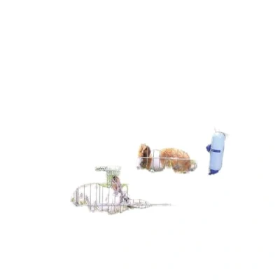 Abbildung von Trixie Run für Nagetiere 6 kantig