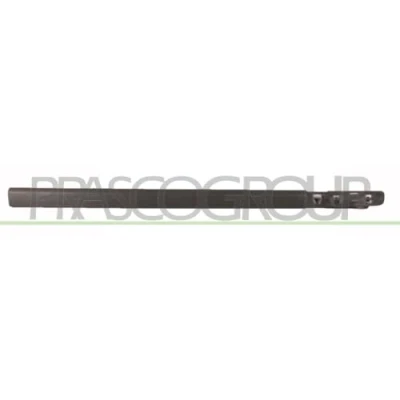 Abbildung von PRASCO RN3251403 Zierleisten RENAULT: CLIO 3