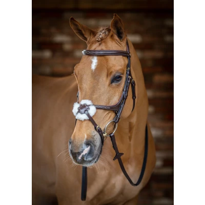 Abbildung von LeMieux Kudos Trense Grackle Havanna XWarmblut