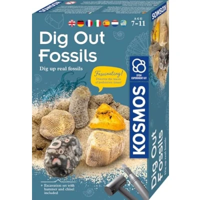 Abbildung von Kosmos Ausgrabungsset Fossilien