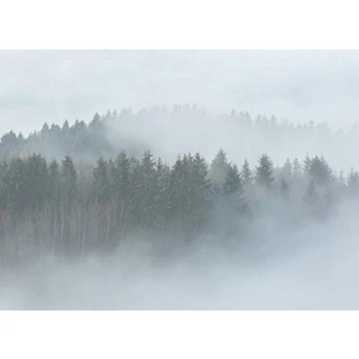 Abbildung von living walls Fototapete &quot;Designwalls Misty Forest&quot;, Vlies, Wand, Schräge, Decke
