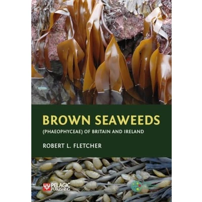 Abbildung von Brown Seaweeds Phaeophyceae of Britain and Ireland (Seaweeds the British Isles)