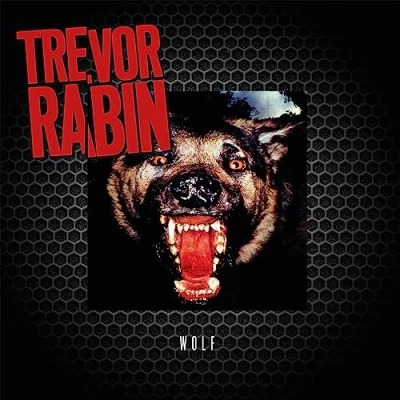 Abbildung von Wolf [Vinyl LP]
