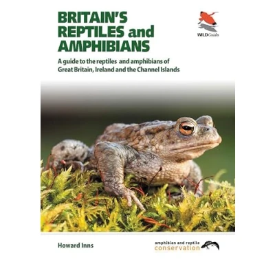 Abbildung von Britain&#039;s Reptiles and Amphibians: A Guide to the Amphibians of Great Britain, Ireland Channel Islands (WildGuides)