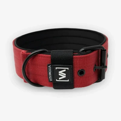 Abbildung von VITOMALIA® 3cm Breites Hundehalsband mit abstehender Neopren Innenfütterung für kleine Hunde, Schwarze Edelstahl Dornschnalle, Hunde (3cm/M = 40cm 50cm, Bordeaux)