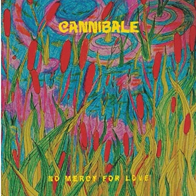 Abbildung von No Mercy for Love [Vinyl LP]