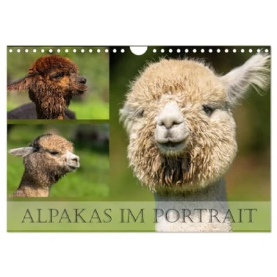 Abbildung von Alpakas im Portrait (Wandkalender 2025 DIN A4 quer), CALVENDO Monatskalender