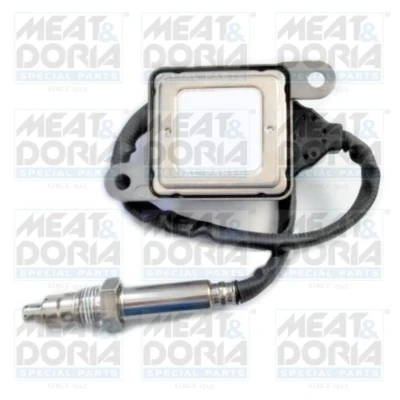 Abbildung von NOx Sensor, Harnstoffeinspritzung MEAT &amp; DORIA 57000