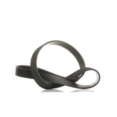 Abbildung von SKF VKMV 6PK966 Keilrippenriemen 966 6 FORD: FOCUS 3 Turnier, 3, C Max 2, VOLVO: V50, V70 V60 I, PEUGEOT: 308 SW I SW, 107 Schrägheck