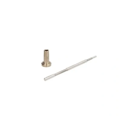 Abbildung von Ventilsatz, Injektor Common Rail BOSCH F 00V C01 036