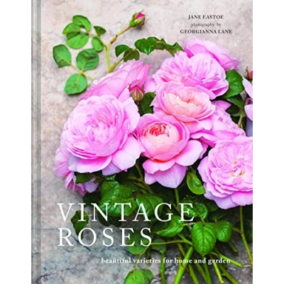 Abbildung von Vintage Roses: Beautiful varieties for home and garden