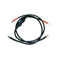 Abbildung von IVT Kabelsatz DSW Serie 2.00m 35mm² 431005 Passend fuer Modell (Wechselrichter):DSW 1200/12V FR, DS
