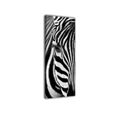 Abbildung von wandmotiv24 Leinwandbild Panorama Nr. 54 Zebra 100x40cm, Keilrahmenbild, Bild auf Leinwand, Kunstdruck schwarz weiß Afrika