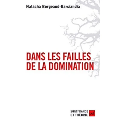 Abbildung von Dans Les failles de la domination zones franches du Nicaragua