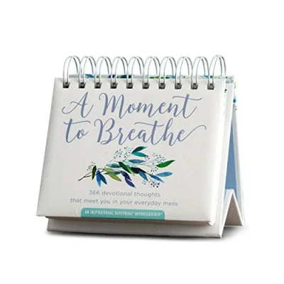 Abbildung von Dayspring A Moment To Breathe: 366 Andachtsgedanken, die Sie in Ihrem täglichen Chaos treffen: An Inspirational DayBrightener Ewiger Kalender, 3,8 x 14 cm (90857)
