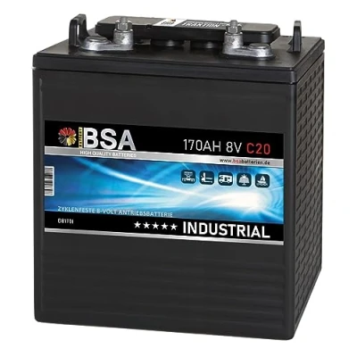 Abbildung von BSA Batterie 8V 170Ah Traktionsbatterie Antrieb Gabelstapler Stapler Hubwagen Hebebühne Elektroauto