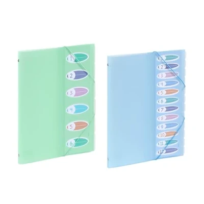 Abbildung von Viquel Fächermappe A4, 6 Fächer, Pastellgrün + 1 12 Pastellblau, Index auf der Vorderseite, Kunststoffhülle Serie Propysoft