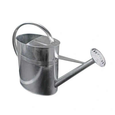 Abbildung von Spetebo Gießkanne verzinkt für Innen und Außen 10 Liter (Packung, 1 tlg., abschraubbarer Brausekopf), Metall Blumengießkanne
