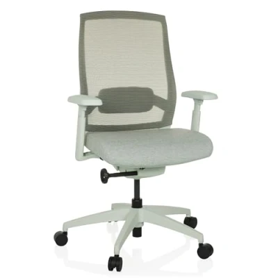 Abbildung von hjh OFFICE Ergonomischer Bürostuhl Colore Profi Drehstuhl, Sitztiefe &amp; Lordosenstütze verstellbar, atmungsaktive Rückenlehne, Hellgrau