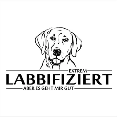 Abbildung von siviwonder Auto Aufkleber Labrador LABBIFIZIERT Hund INFIZIERT Hundeaufkleber 30cm Black