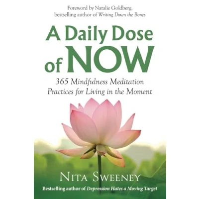Abbildung von A Daily Dose of Now: 365 Mindfulness Meditation Practices for Living in the Moment