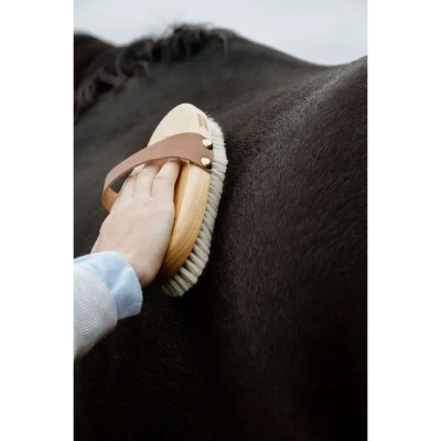 Abbildung von Kentucky Horsewear Bürste Soft ShineVerkauft von Agradi