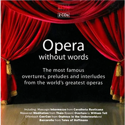Abbildung von Opera Without Words