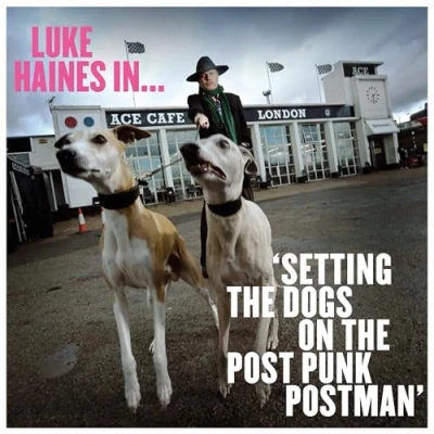 Abbildung von Luke Haines in...Setting the Dogs on Post Punk