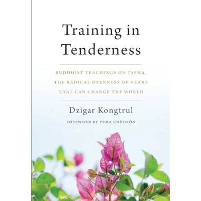 Abbildung von Training in Tenderness: Buddhist Teachings on Tsewa, the Radical Openness of Heart That Can Change World