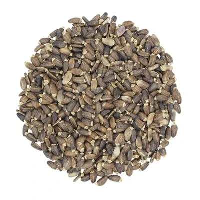 Abbildung von 1000Kräuter Mariendistelsamen Mariendistelsaat ganz Mariendistel Tee Silybum marianum (500g)