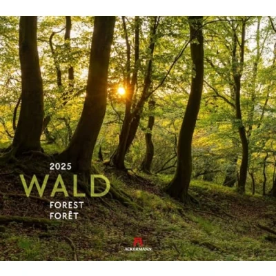 Abbildung von Wald Kalender 2025, Wandkalender im Querformat (54x48 cm) Landschaftskalender / Naturkalender
