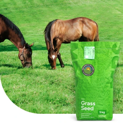 Abbildung von Rasensamen Horse Low Fructan mix Pferdeweide 5 Kilo 500 m2 MRS Seeds &amp; Mixtures