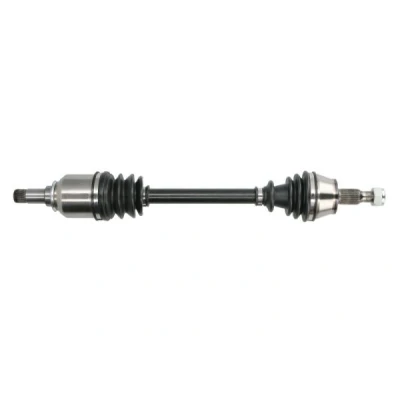 Abbildung von Antriebswelle PASCAL G2M011PC