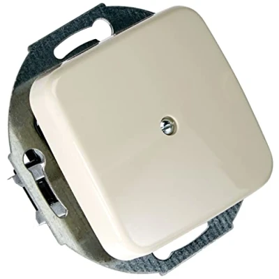 Abbildung von Busch Jaeger 2527 212 Zentralscheibe mit Tragring Blindabdeckung (Duroplast) Cremeweiß Duro 2000 SI 2CKA001710A0623