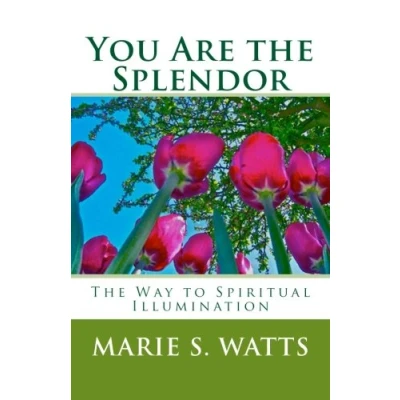 Abbildung von You Are The Splendor: Way to Spiritual Illumination