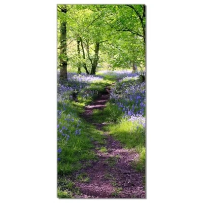 Abbildung von Wallario Selbstklebende Türtapete Blaues Hasenglöckchen im Wald Türposter 93 x 205 cm Abwischbar, rückstandsfrei zu entfernen
