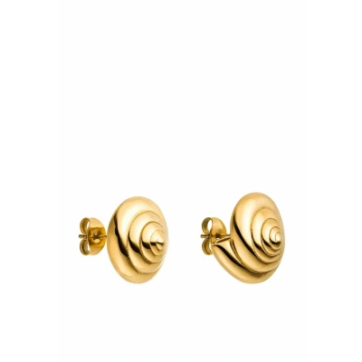 Abbildung von Purelei® Nautical Small Ohrstecker Kleine Muschelspiral Ohrringe aus Edelstahl in Gold, Silber oder Roségold Maritimer Damen Schmuck im zeitlosen Design 14,7 mm, 9,15 g (Gold)
