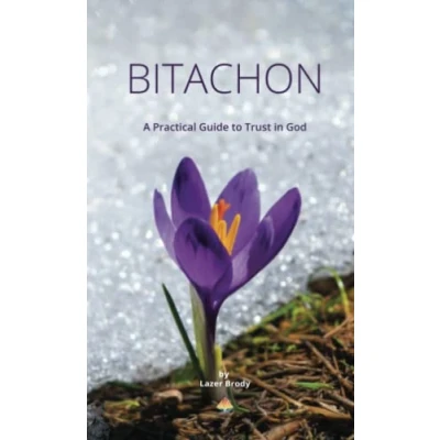 Abbildung von Bitachon: A Practical Guide to Trust in God