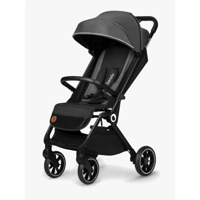 Abbildung von Lionelo CLOE Buggy, Grey Stone